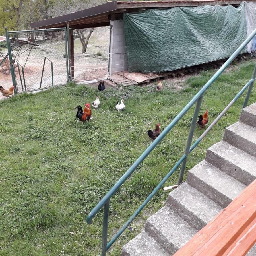 B&B La Casa Del Daino Millesimo Екстер'єр фото